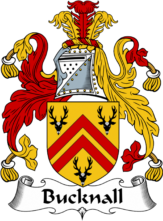 Bucknall Coat of Arms